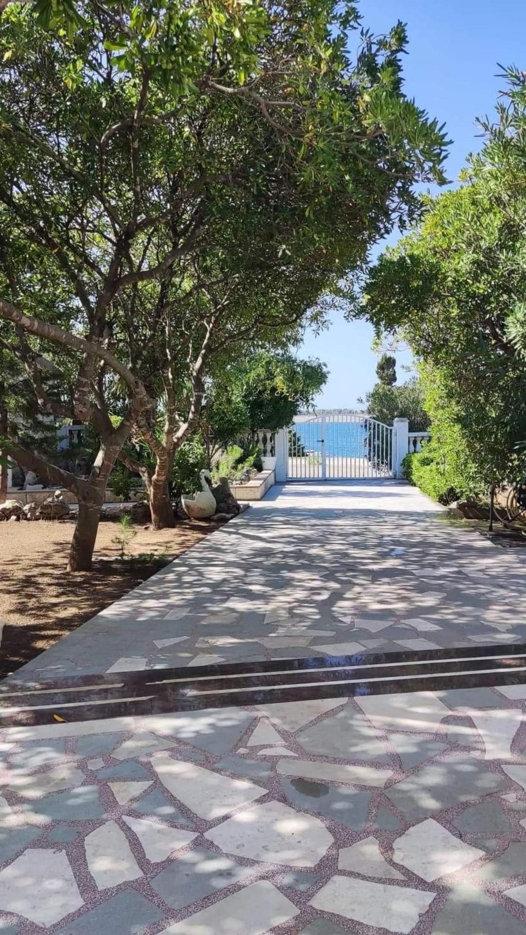 Villa Pagar - With Jacuzzi - Renovated In 2022 Povljana Εξωτερικό φωτογραφία