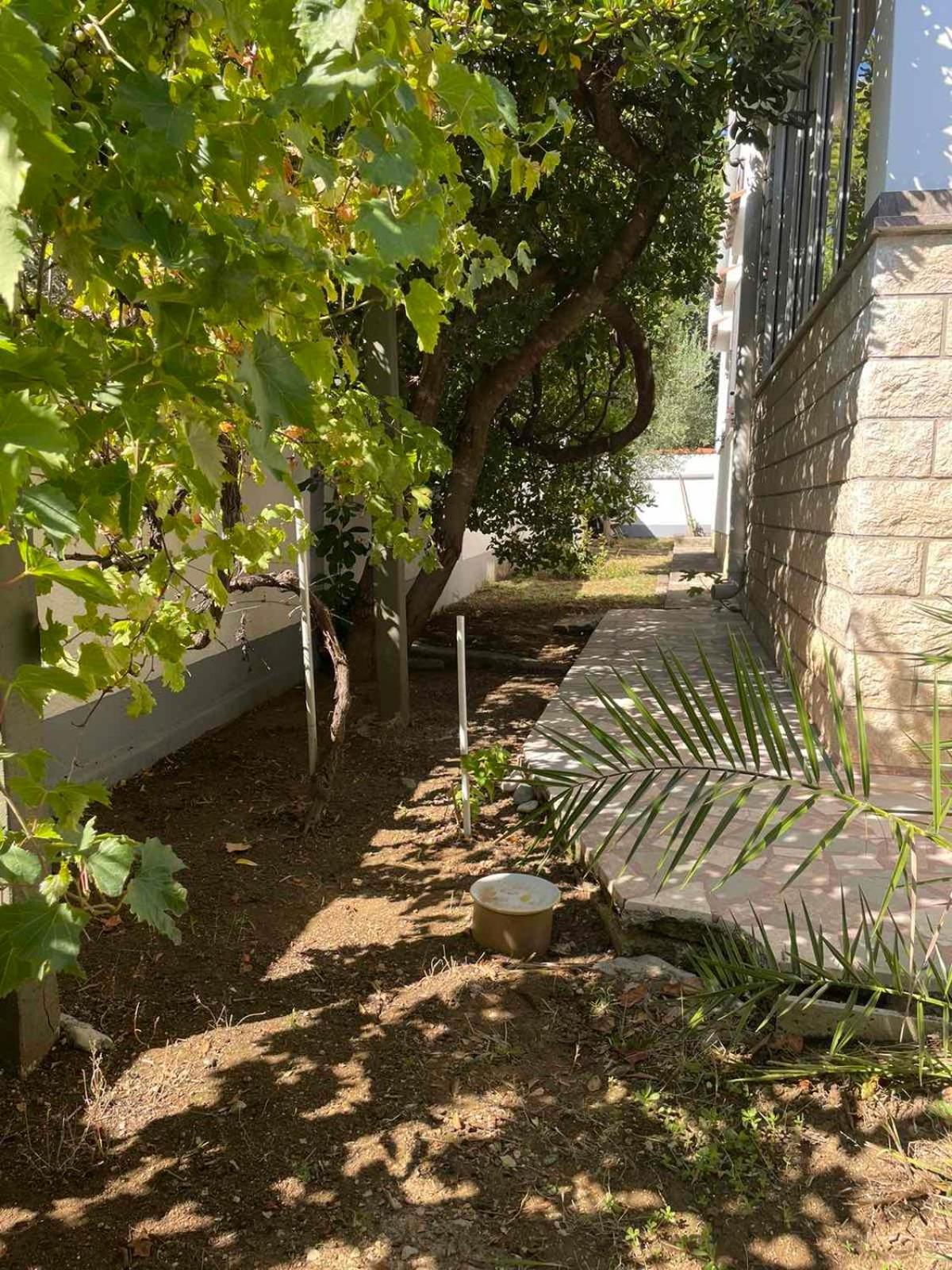 Villa Pagar - With Jacuzzi - Renovated In 2022 Povljana Εξωτερικό φωτογραφία
