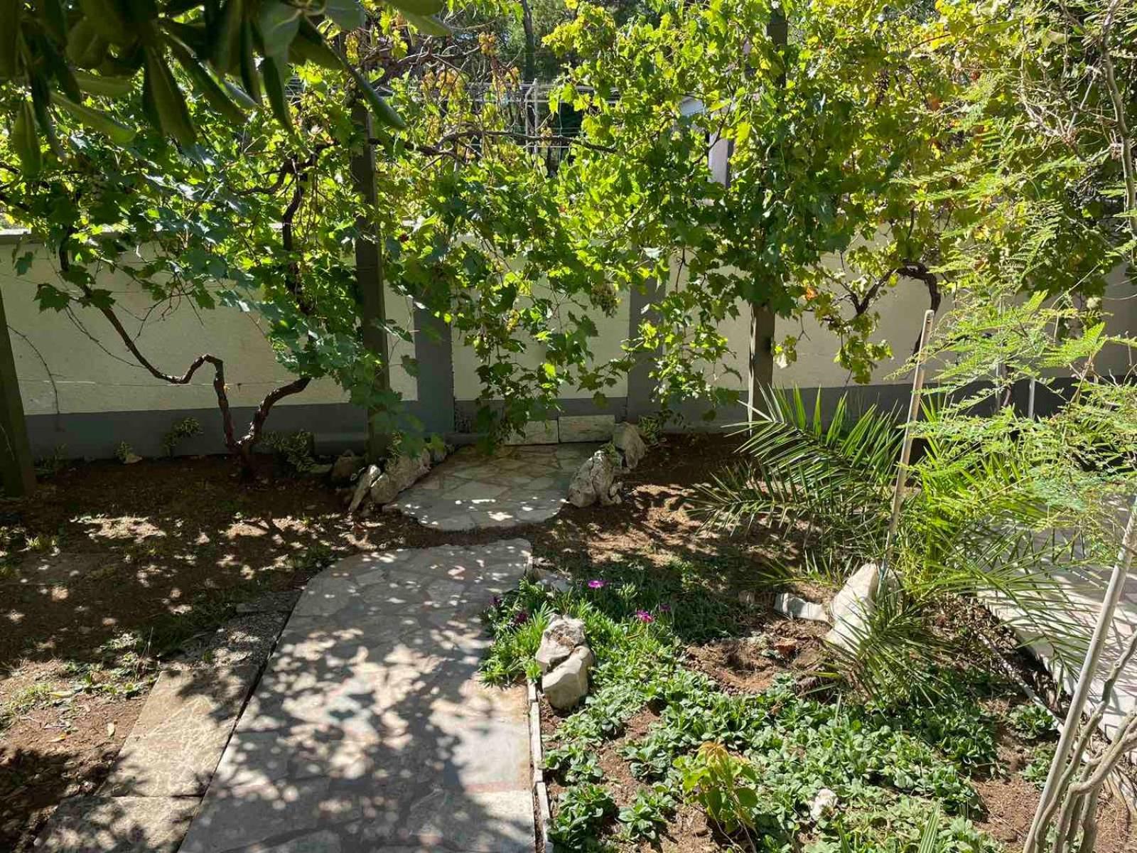 Villa Pagar - With Jacuzzi - Renovated In 2022 Povljana Εξωτερικό φωτογραφία