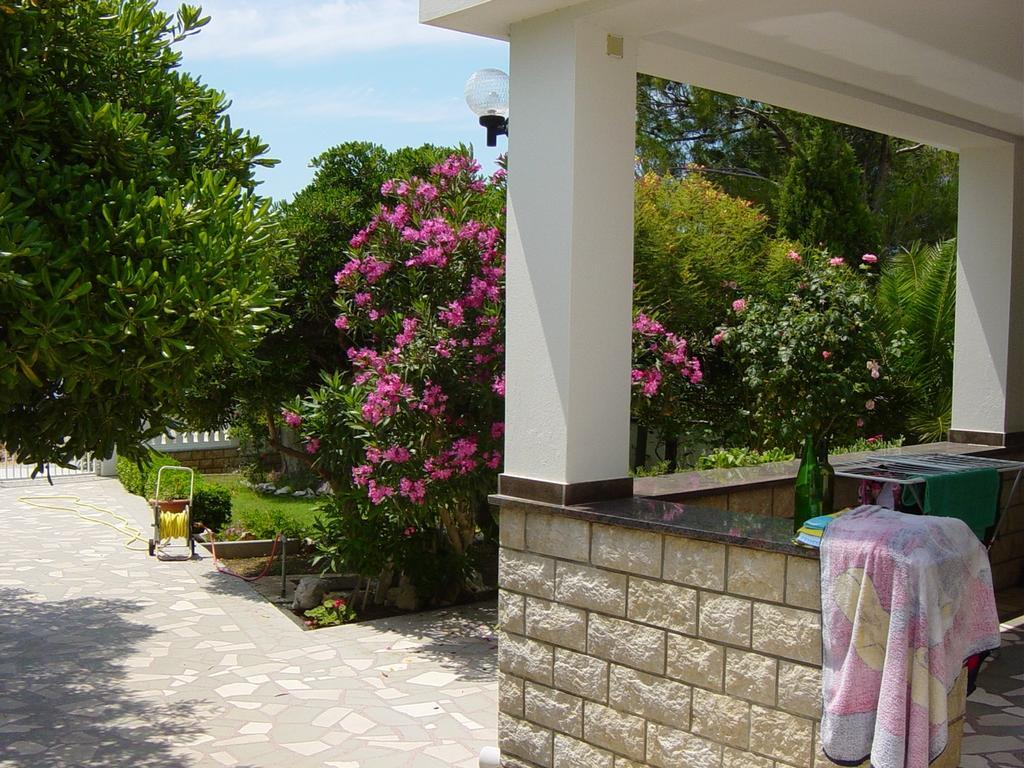 Villa Pagar - With Jacuzzi - Renovated In 2022 Povljana Εξωτερικό φωτογραφία