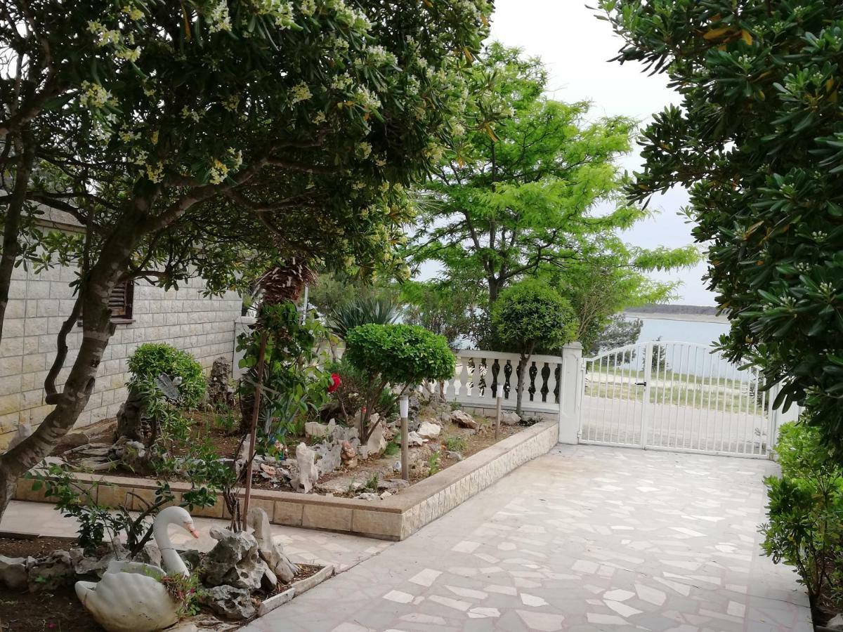 Villa Pagar - With Jacuzzi - Renovated In 2022 Povljana Εξωτερικό φωτογραφία